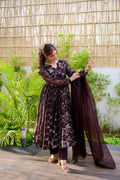 brown organza shimmer suit set